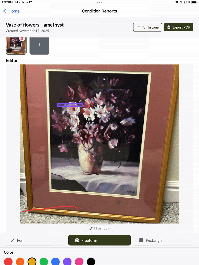 Condition Reports Demo