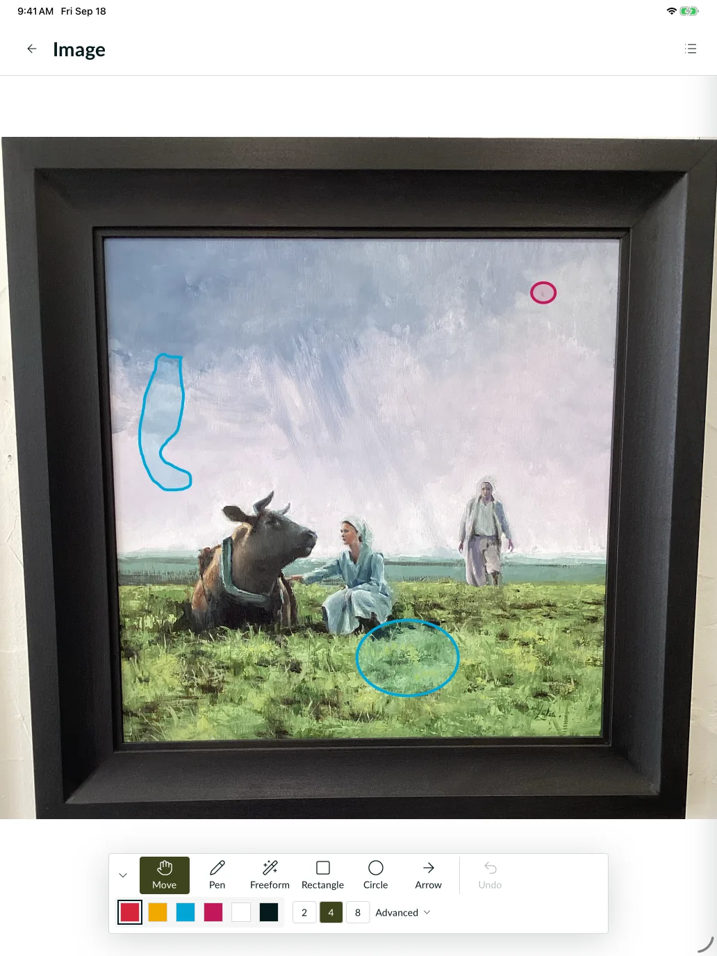 The iPad app annotating a framed landscape painting: three marks drawn over the sky and the grass, with the tool strip for move, pen, freeform, rectangle, circle and arrow and the six mark colors below.
